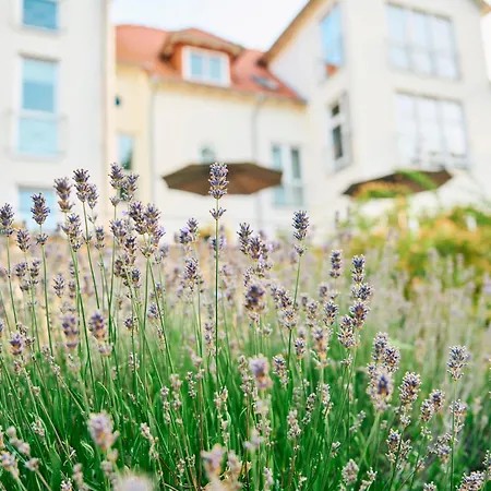 Hofgut Wissberg - Weinberghotel 4*