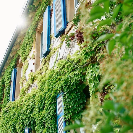 Hofgut Wissberg - Weinberghotel Hotel Sankt Johann (Mainz-Bingen, Rhineland-Palatinate)