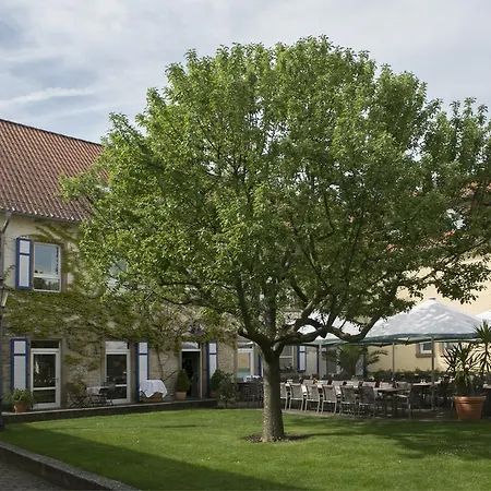 Hofgut Wissberg - Weinberghotel Sankt Johann (Mainz-Bingen, Rhineland-Palatinate)