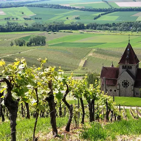 Hofgut Wissberg - Weinberghotel
