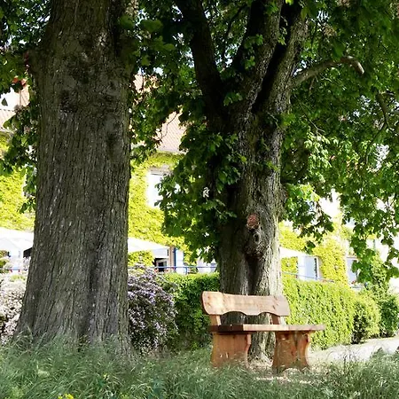 Hofgut Wissberg - Weinberghotel Hotel